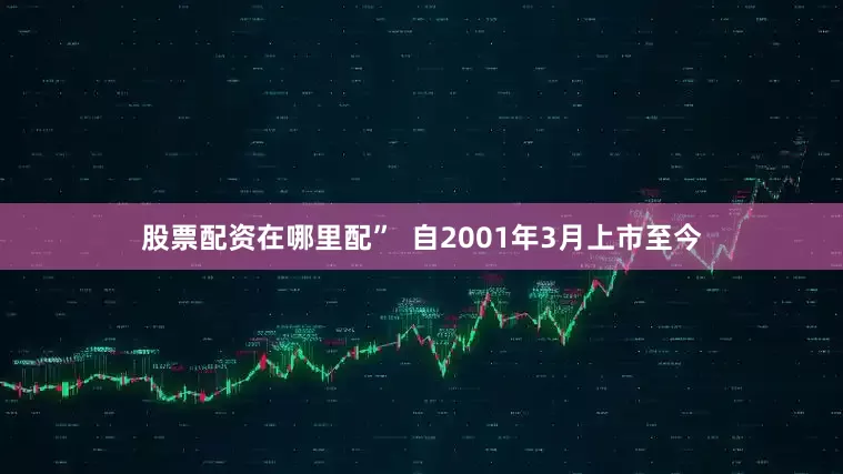 股票配资在哪里配”  自2001年3月上市至今