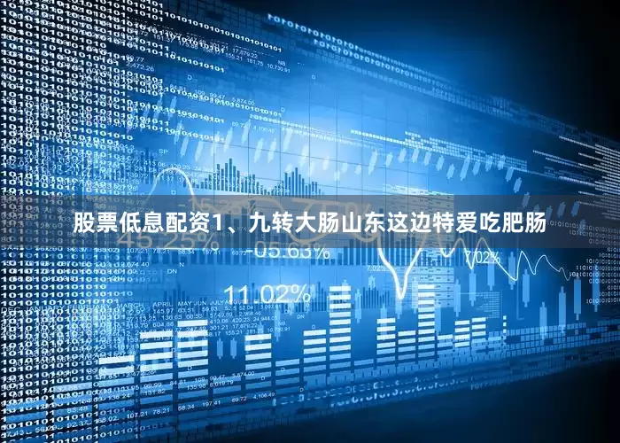 股票低息配资1、九转大肠山东这边特爱吃肥肠